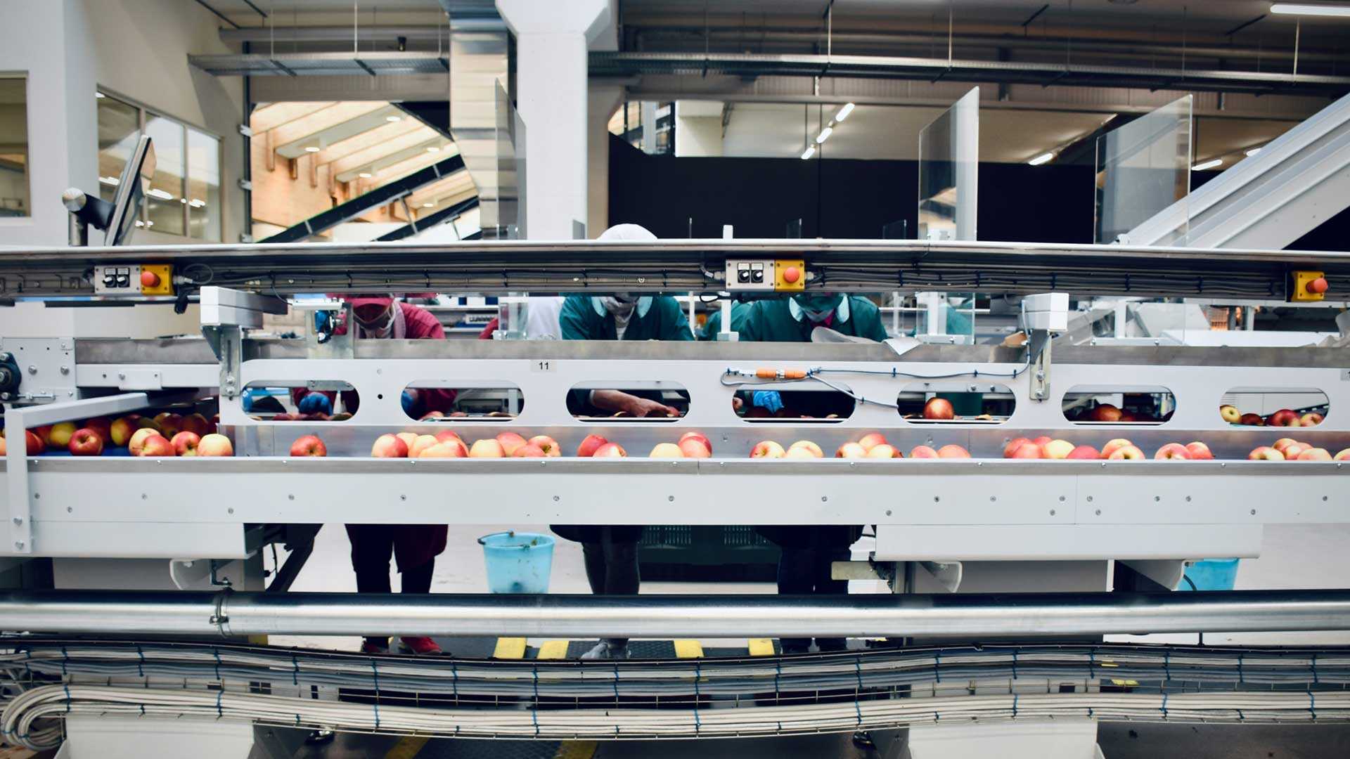 IoT will play an important role in the food crisis