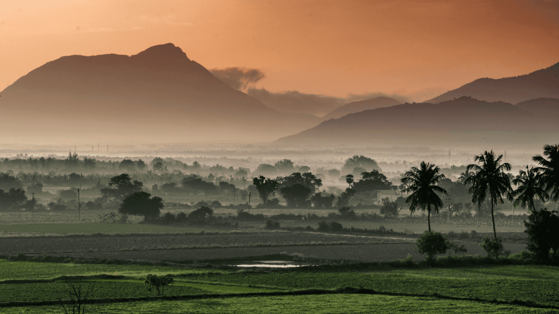 Image of rural Indian landscape.