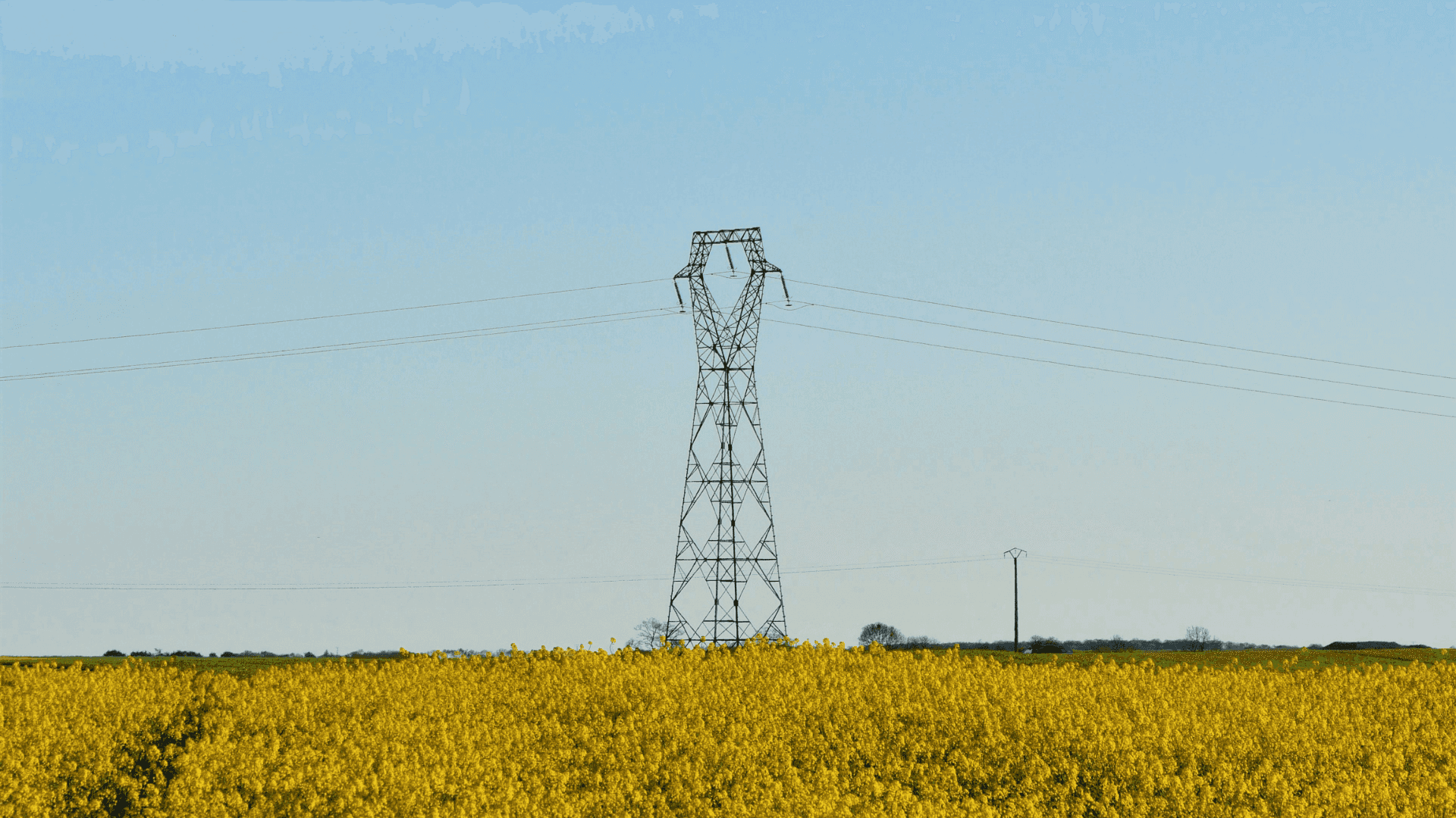 Image of a transmission tower in a field