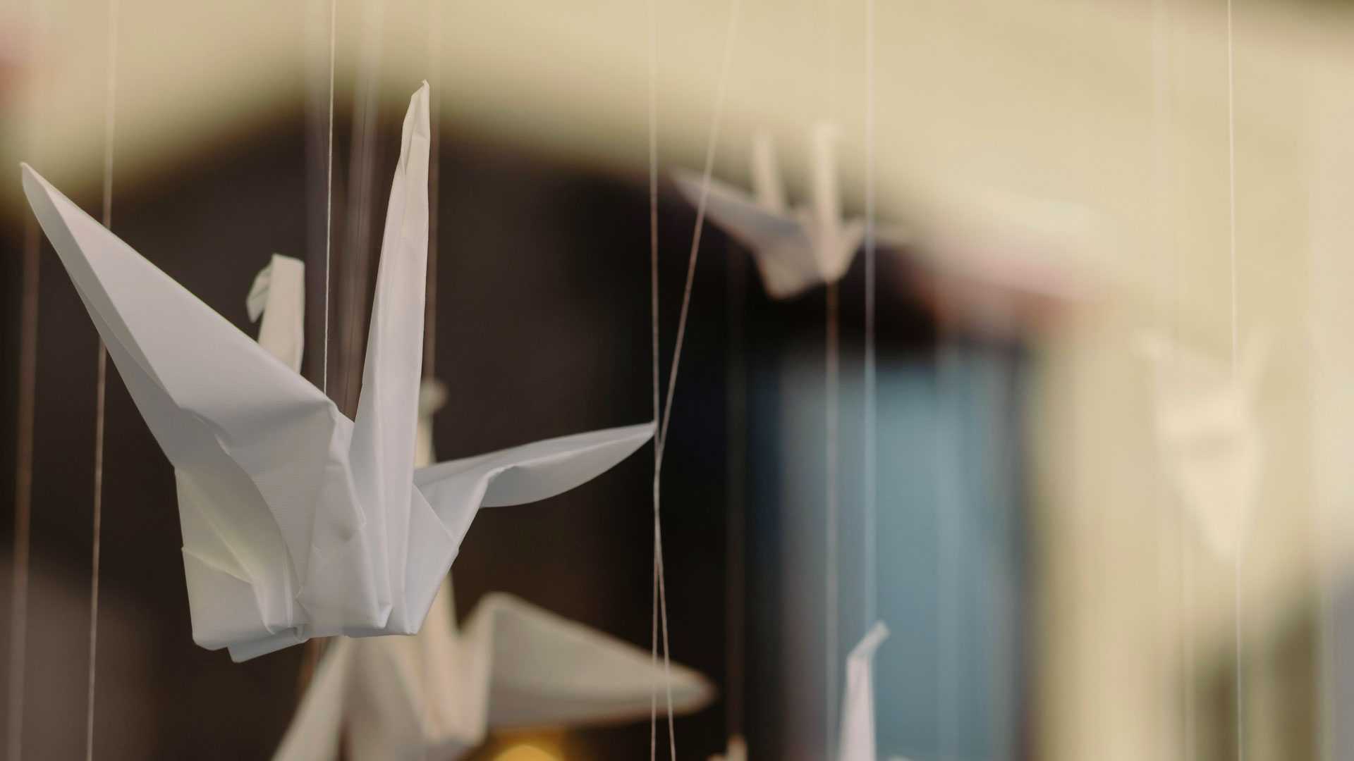 origami cranes suspended with string